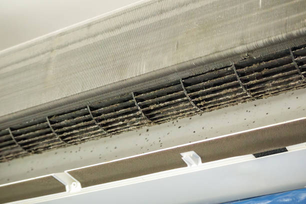 Best Best Air Duct Cleaning Company  in Chico, WA